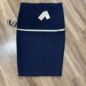 Navy and black pencil skirt